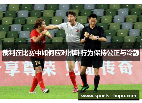裁判在比赛中如何应对挑衅行为保持公正与冷静