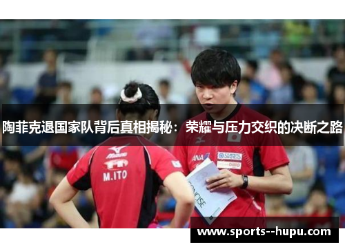 陶菲克退国家队背后真相揭秘：荣耀与压力交织的决断之路